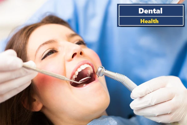 Dental Health 